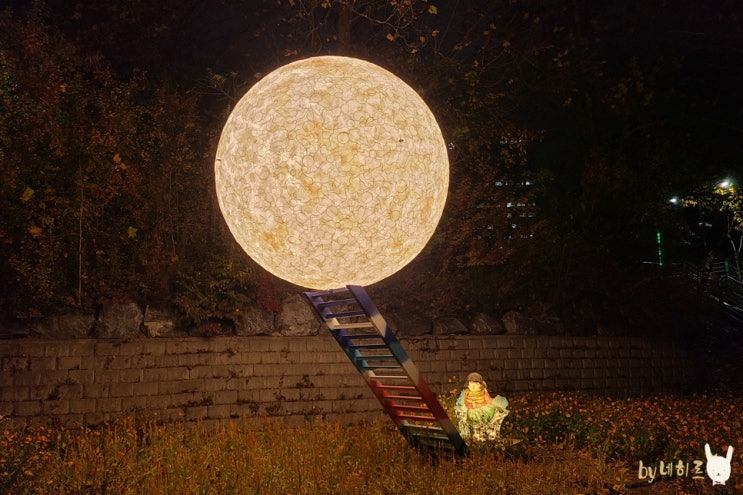  서울 야경 명소, 노원 당현천 달빛산책