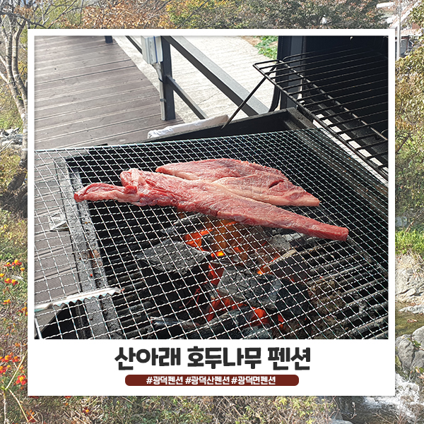 광덕산 펜션 산아래 호두나무 펜션 독채라 좋네요!