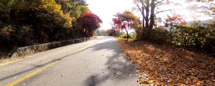 호명산 가을 단풍 만끽한 자전거 라이딩