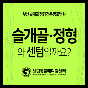  슬개골·정형은 역시! 센텀동물메디컬센터