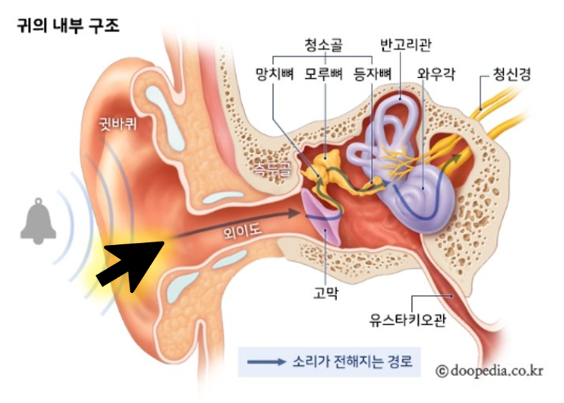 외이도염/귀가려움/귀고름/귀진물/귀여드름 /염증/귀통증/이빈후과/이비인후과/귓속통증/귓....