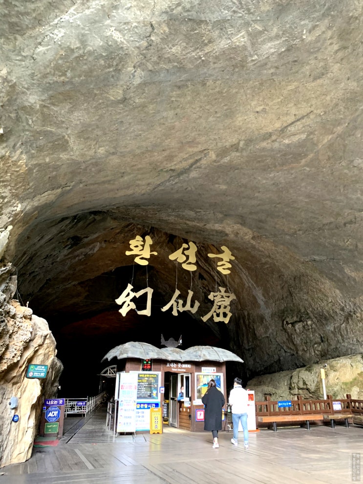 삼척여행, 삼척 가볼만한곳 국내에서 가장 큰 동굴 환선굴