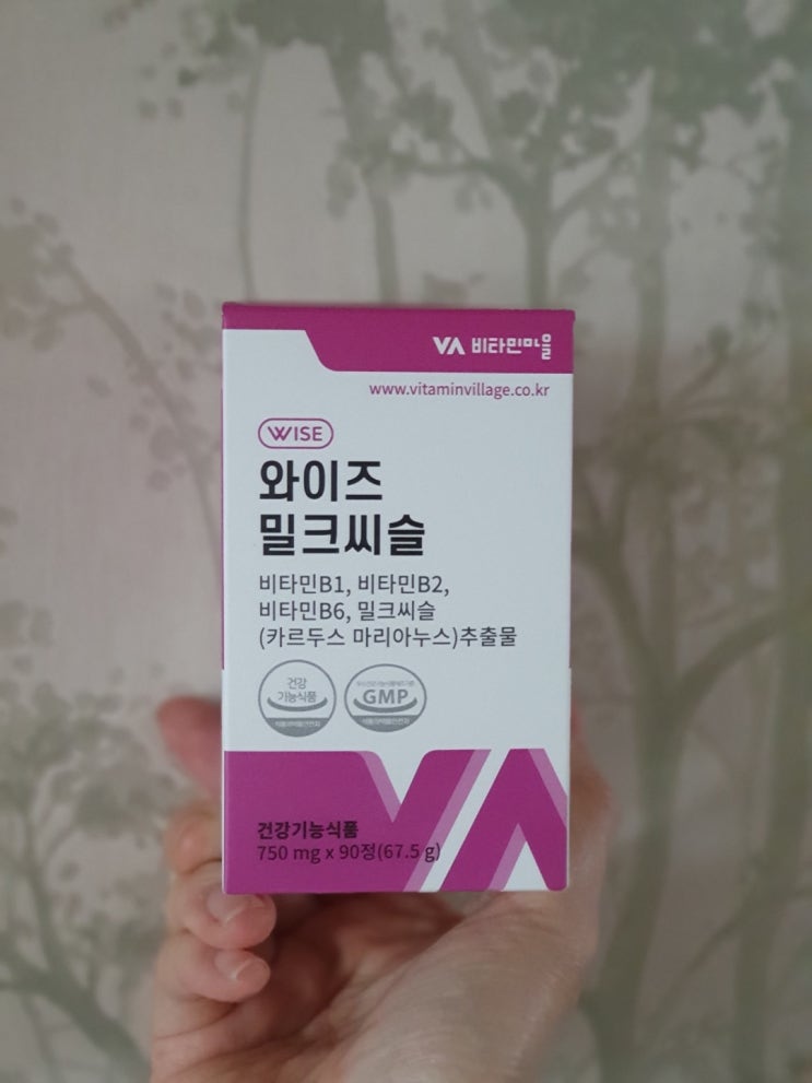  밀크씨슬 간영양제로 만성피로 고민 끝
