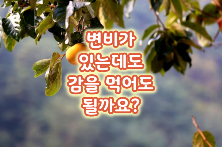  변비가 있는데도 감을 먹어도 될까요?