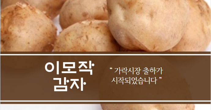  경매사가 알립니다. 2020년 이모작감자(가을감자)가 출하 시작되었습니다.