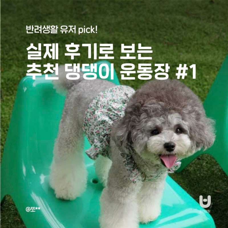 사진 2
