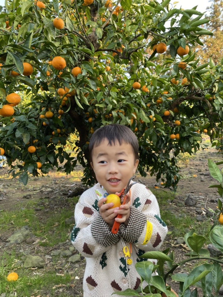  아이와 다양한 체험을 가능하게 하는 “파더스가든”