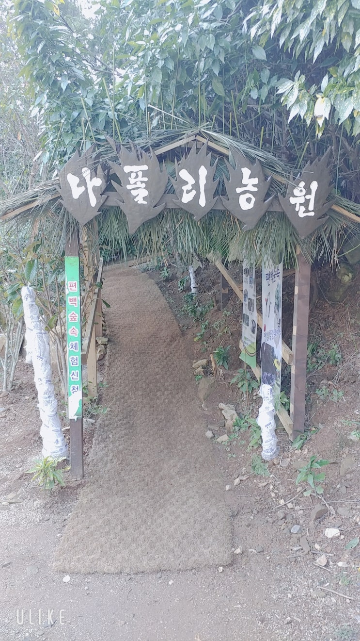 통영 나폴리농원 맨발로 하는 이색체험 인상적이야