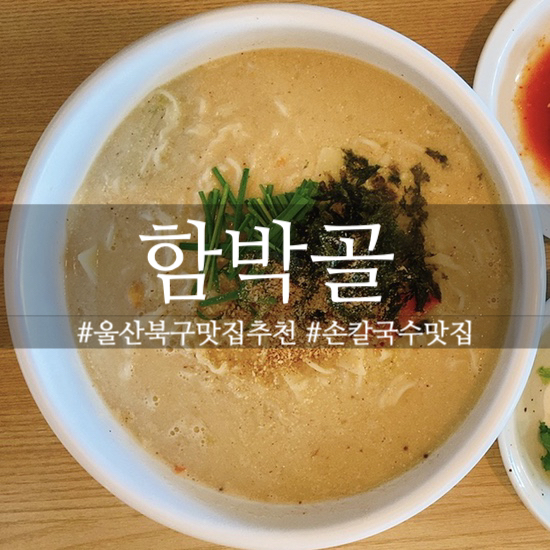  [울산 북구] 함박골 : 꼬소하고 걸쭉한 들깨칼국수와 해물 듬뿍 들어간 파전이 맛있는 칼국수 맛집추천, 울산북구맛집추천, 강동동맛집, 정자해수욕장맛집