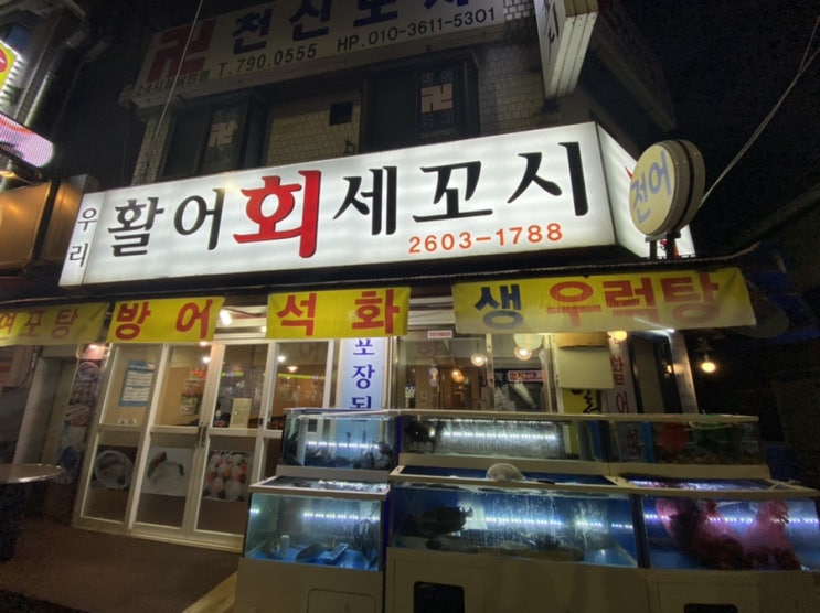  까치산 신월동 588종점 활어회 세꼬시 맛집 우리활어회세꼬시