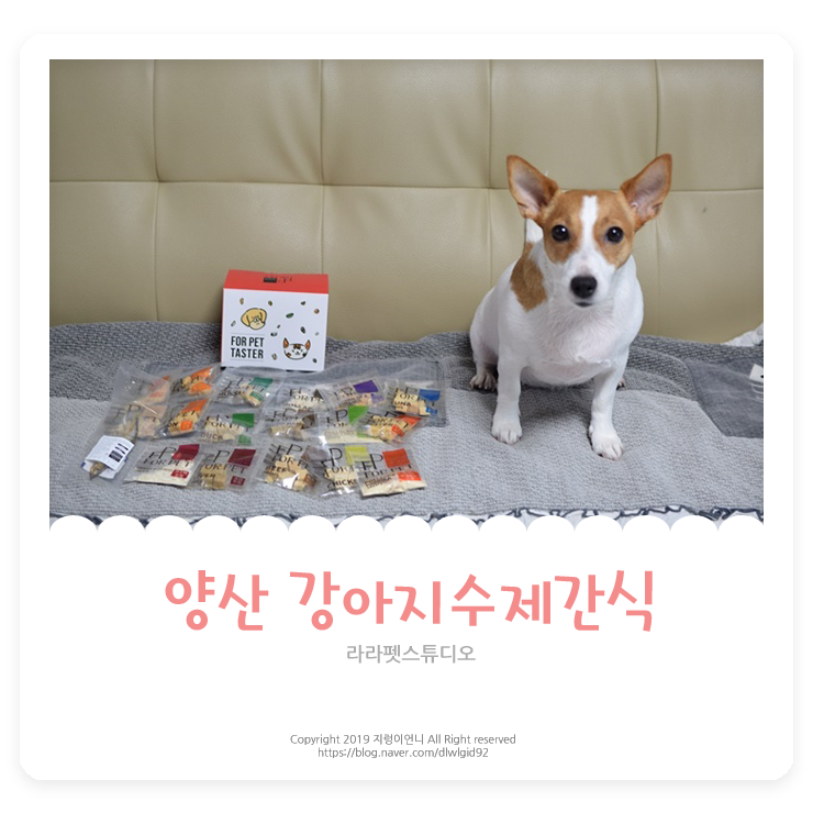 라라펫수제간식