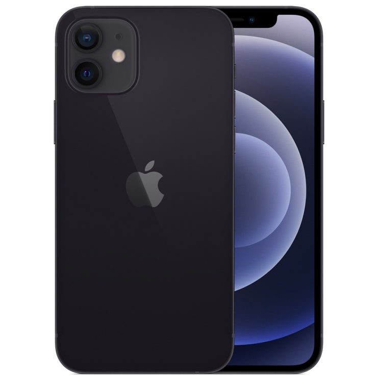 Apple 아이폰 12, 공기계, Black, 256GB