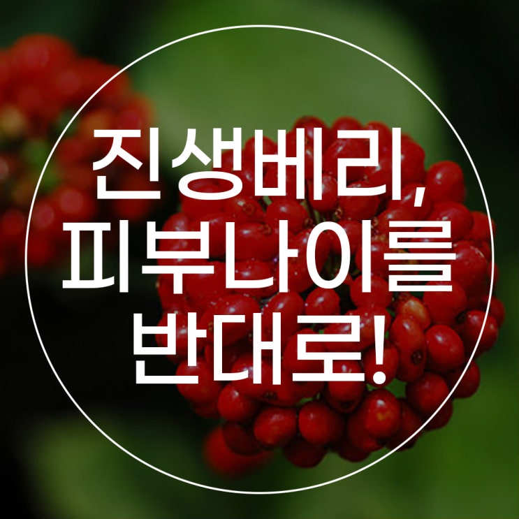  진생베리, 피부에 특효약이네~ 피부나이를 거꾸로! 지겨운 여드름도 안녕!