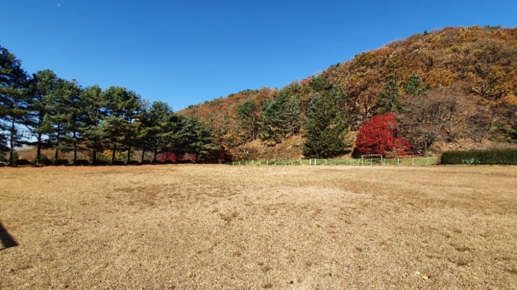  경기도 당일 캠핑장 나만 알고 싶은 청려수련원