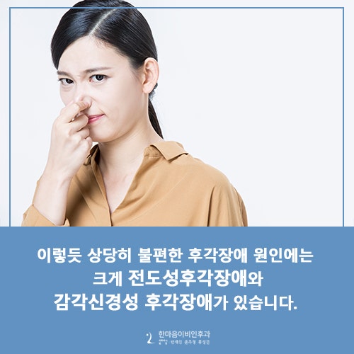후각상실 후각장애의 원인과 치료방법 : 네이버 블로그