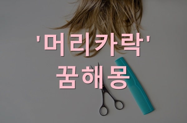 무료꿈해몽풀이 머리카락꿈 머리꿈 빠지는꿈 자르는꿈 잘리는꿈 빠지는꿈 뽑히는꿈 뽑는꿈 ....