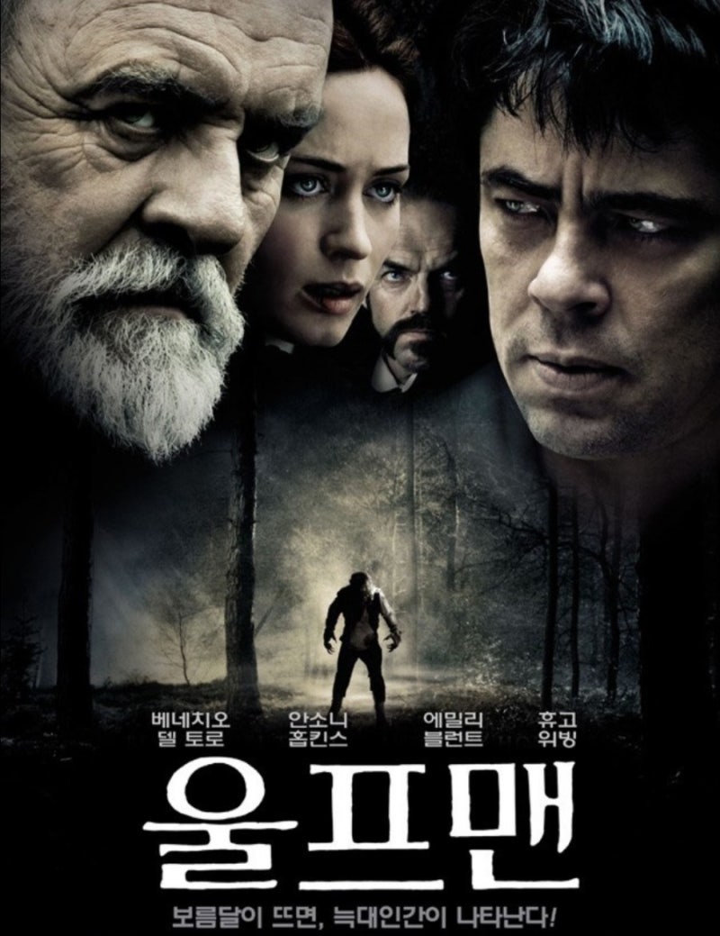 Wolf Eating Human Animated | TikTok, image size:800x1039