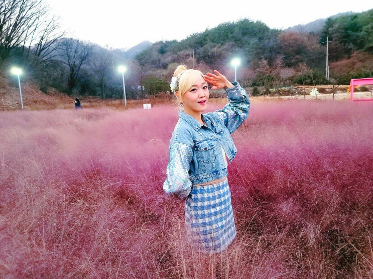  경기도 포천 평강랜드 핑크뮬리 위해성
