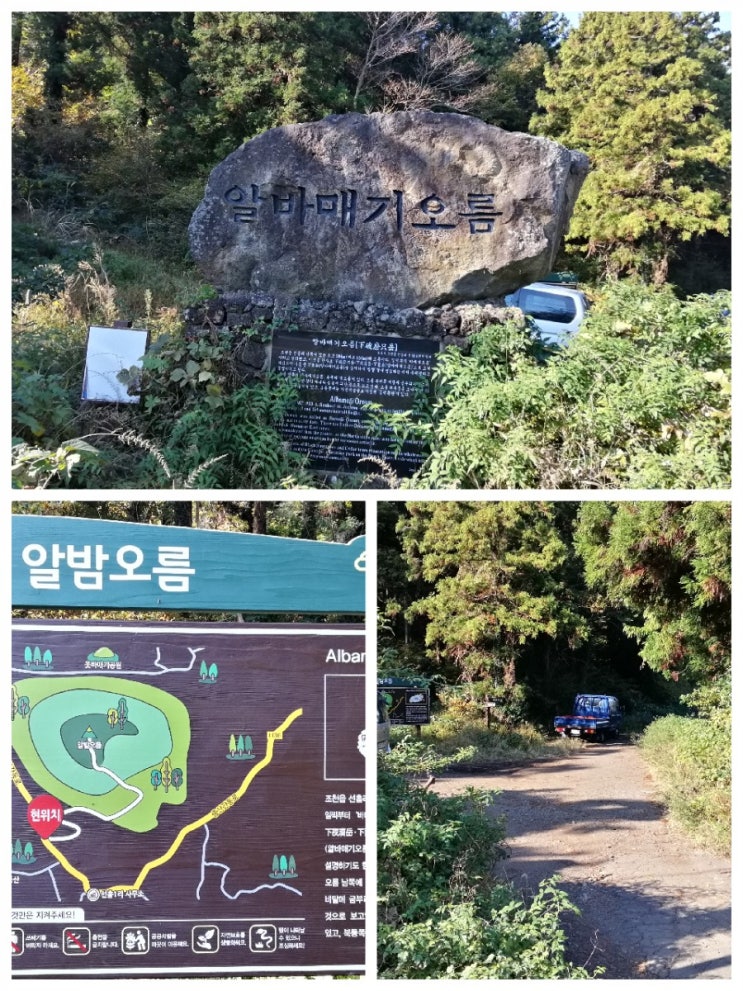  "와~~~" 올라야만 알 수 있는 알밤오름