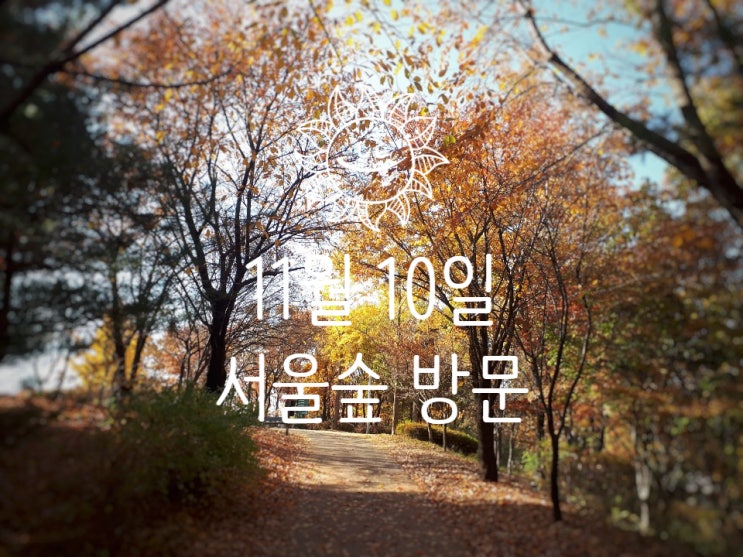 서울숲의 가을 11월 10일