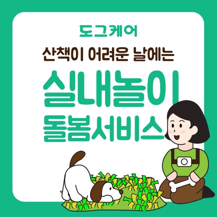  도그케어 실내놀이 돌봄 서버스
