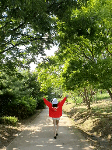 [서울 강아지 산책하기 좋은 곳] 뚝섬 서울 숲 / 혼자 여행하기 좋은 곳 추천받습니다:D