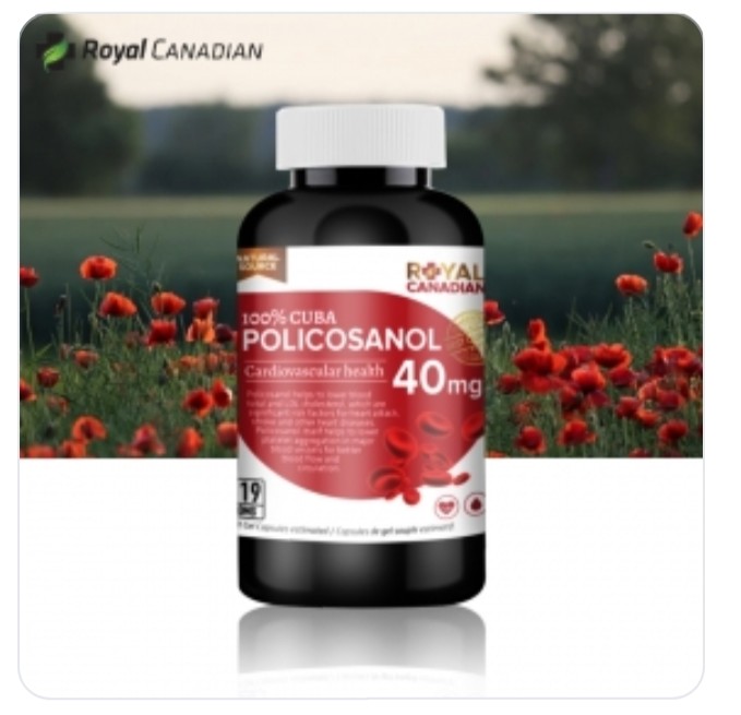 로얄 캐네디언 쿠바산 쿠바 폴리코사놀 초고함량 40mg 119정 로얄 캐네디언 쿠바산 쿠바 폴리코사놀 초고함량 40mg 119정