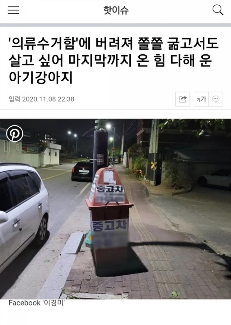  의류수거함에 버려져 쫄쫄 굶고서도 살고 싶어 마지막까지 온 힘 다해 운 아기강아지
