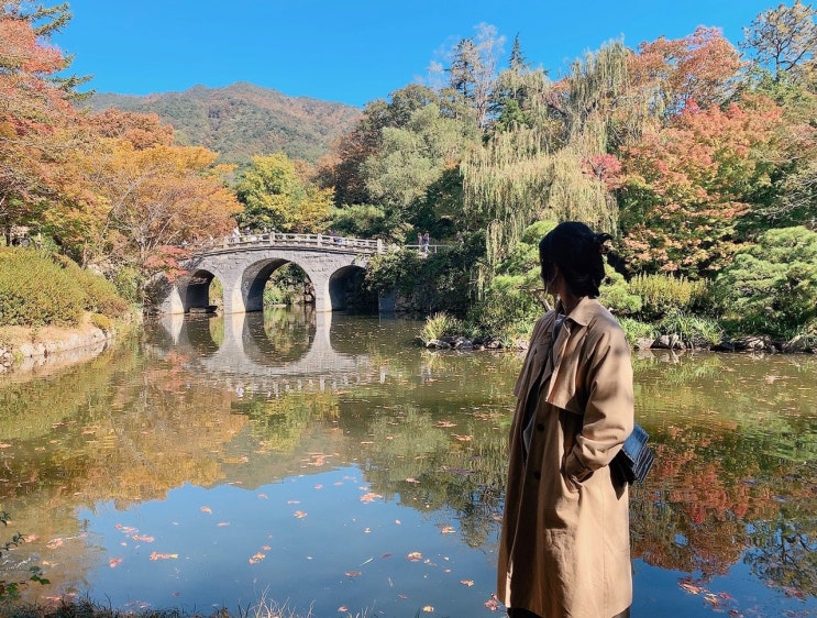  경주 보문뜰, 함양집 보불로점, 닭만공격, 훌림목 수플레, 불국사 가을 단풍 -2,3일차 마무리