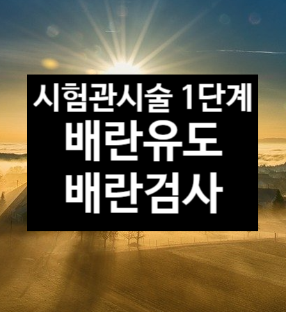  시험관 시술 1단계  배란유도 및 배란검사