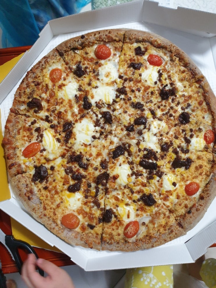  (세종피자맛집) 유로코피자 세종도담점