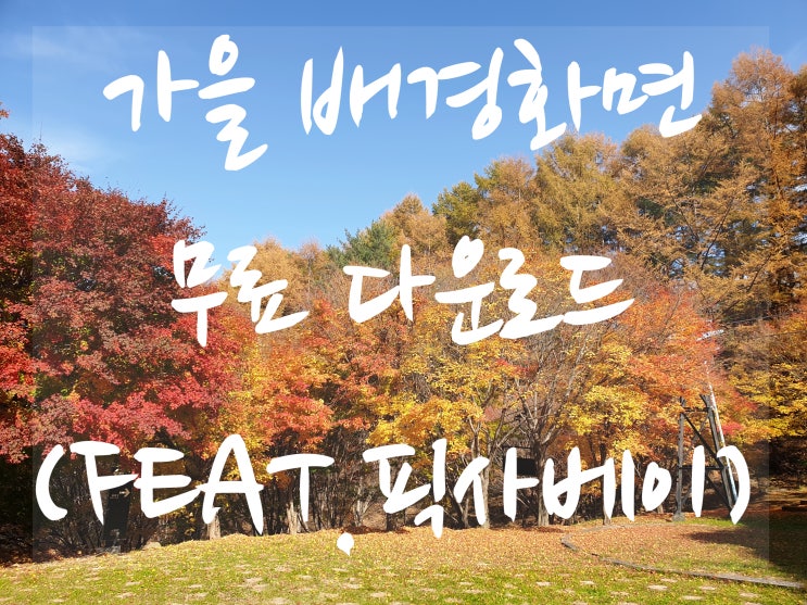  11월 가을 배경화면 , 가을 이미지로 가을 감성 느껴봐요 (feat.픽사베이 무료이미지)