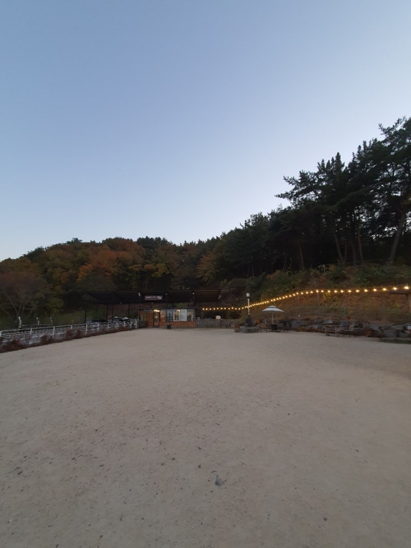 사진 2