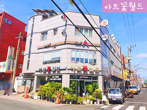  [사상 꽃집]아트꽃월드에 꽃 주문하는 방법! 사상구꽃집 감전꽃집 부산꽃집 사상구꽃배달 부산꽃배달