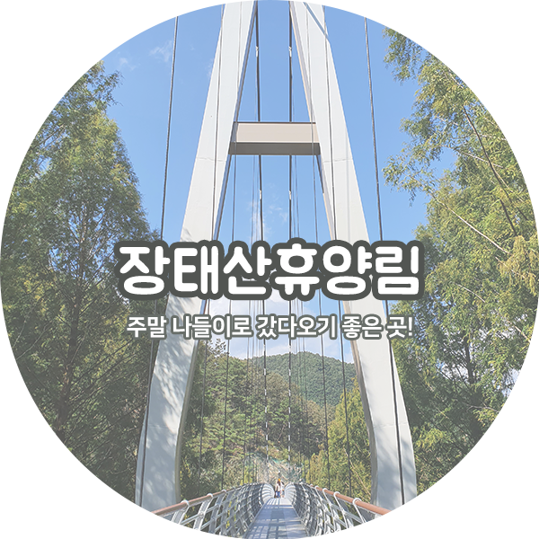  장태산 자연휴양림 산책하기 좋은 곳 : 단풍 명소 추천