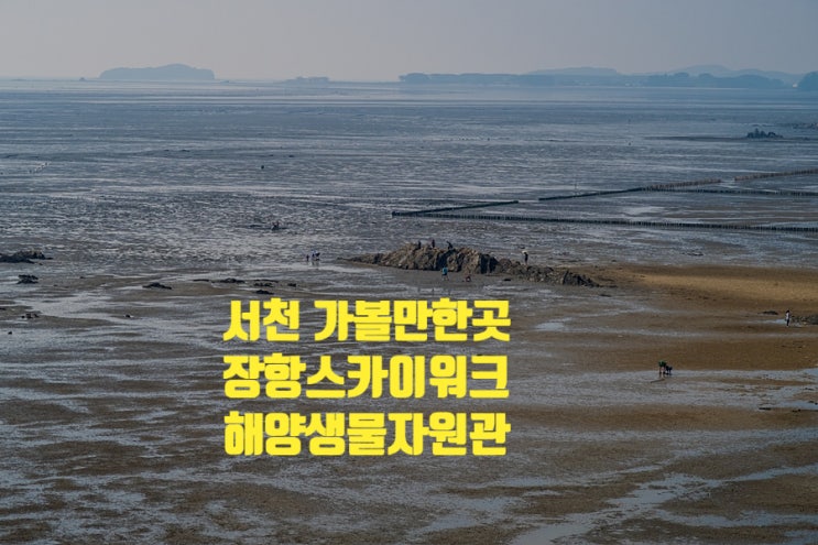 서천 가볼만한곳 장항스카이워크 서천 해양생물자원관 서천 가볼만한곳 장항스카이워크 서천 해양생물자원관