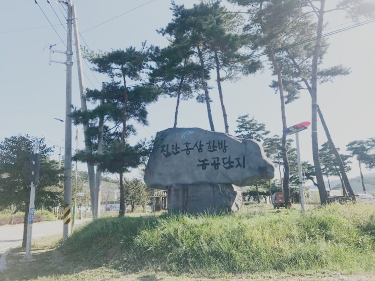 산업용제습기 NED-280으로 습기해결! 곰팡이 해결! 산업용제습기 NED-280으로 습기해결! 곰팡이 해결!