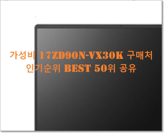  가성비 17ZD90N-VX30K 구매처  인기순위 BEST 50위 공유