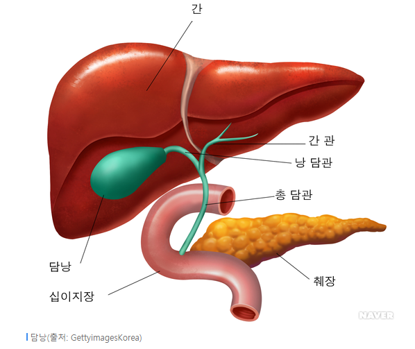  알고 먹어야 보약이다. 