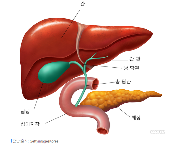 알고 먹어야 보약이다. 