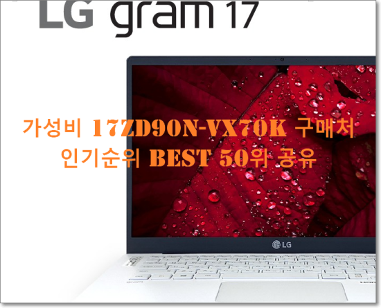   가성비 17ZD90N-VX70K 구매처  인기순위 BEST 50위 공유