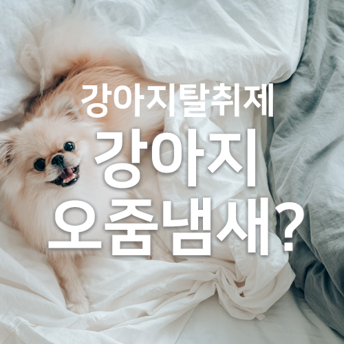  강아지탈취제 강아지오줌냄새제거엔 간편하게 뿌리는 펫 스프레이