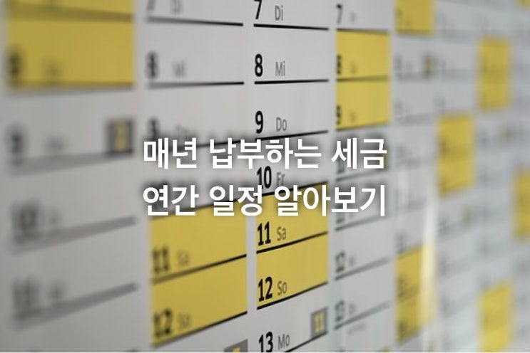  매년 납부하는 세금 연간 일정 알아보기