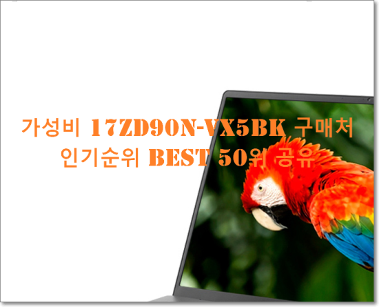  가성비 17ZD90N-VX5BK 구매처  인기순위 BEST 50위 공유