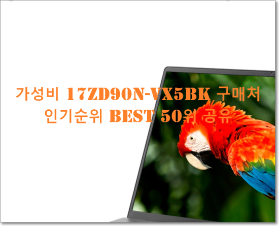   가성비 17ZD90N-VX5BK 구매처  인기순위 BEST 50위 공유