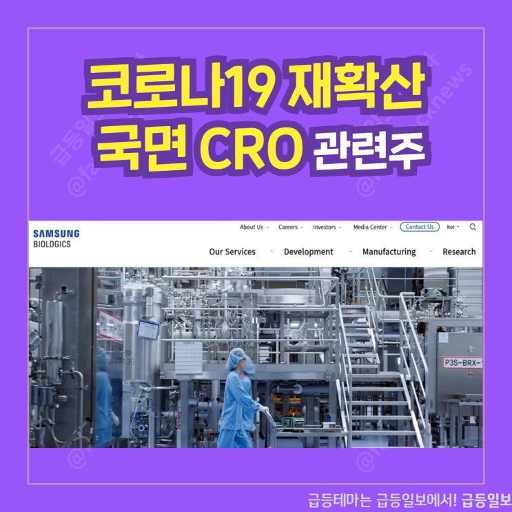 CRO,CMO 관련주 by급등일보 CRO,CMO 관련주 by급등일보
