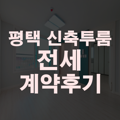  평택 투룸전세 신축 첫 입주 계약 후기