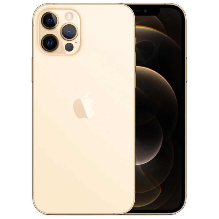 Apple 아이폰 12 Pro, 공기계, Gold, 128GB