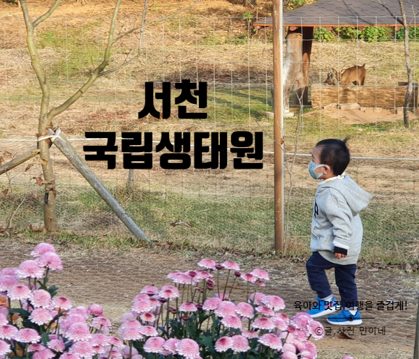 서천 국립생태원 아이와 함께 가볼마한 곳(유아휴게실도 깨끗!)