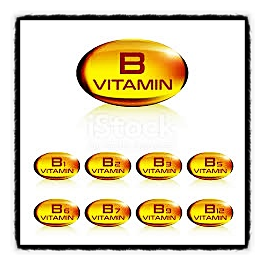 겨울 필수 영양소, 비타민 B1, B2, B3, B5, B6, B7, B9, B12, 식품, 영양제 역할, 부족시 질병